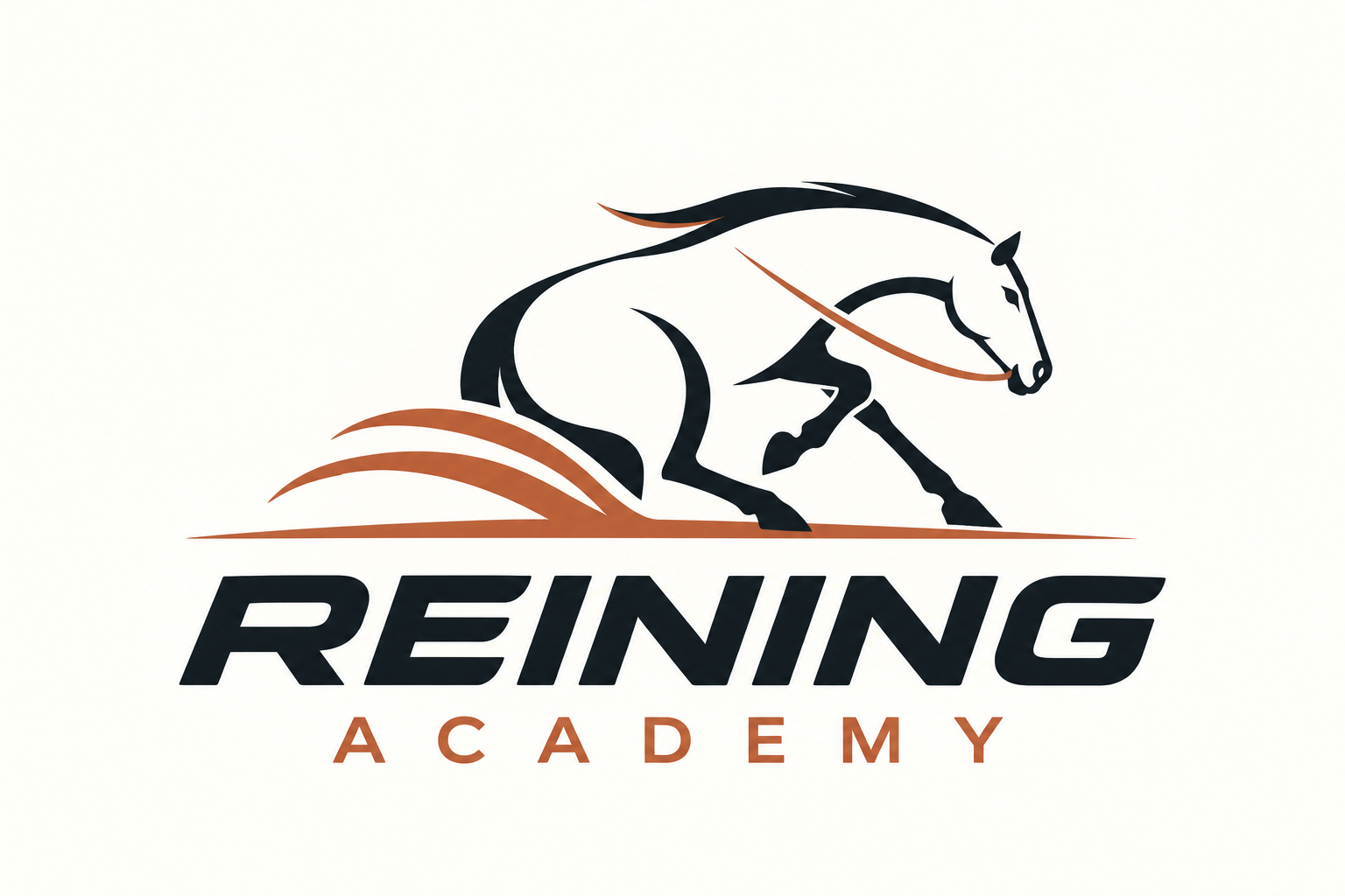 Reining Academy
